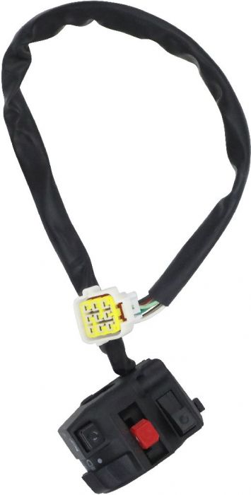 Switch - 150cc to 600cc, ATV, 300cc, 2x4, 4x4 and 4x4 IRS - 10A8131 - PBC1994F1