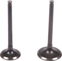Intake and Exhaust Valve - 200cc - 20A2516 - PBC1756F1