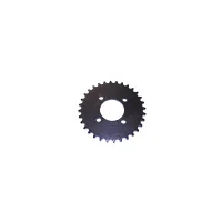 Rear Chain Disk - 2201-12040101A - PBC73GP