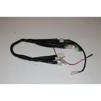 Blazer 110B Main Harness - TAO TAO MOTOR / GIO PARTS - PBCATA110-B-3-01