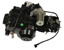 F/N/R Blazer 125D & 110P Engine - TAO TAO MOTOR / GIO PARTS - PBCATA125-D-5-01