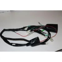 Blazer 150 MAIN CABLE - TAO TAO MOTOR / GIO PARTS - PBCATA150-D-5-01