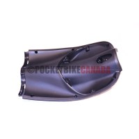 rogue17